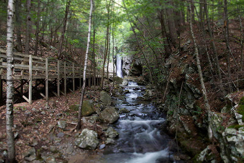 Fotomural Riachuelo