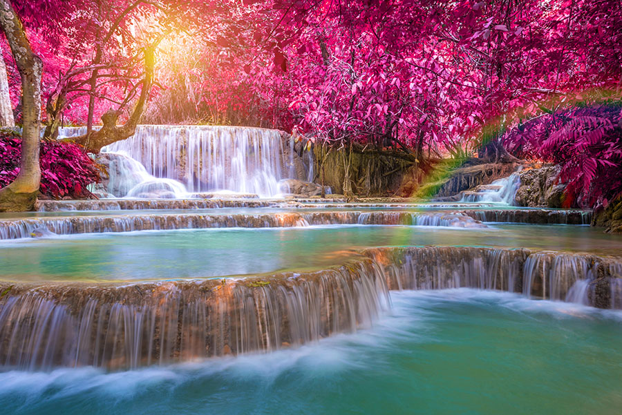 Fotomural Cascada en bosque rosa