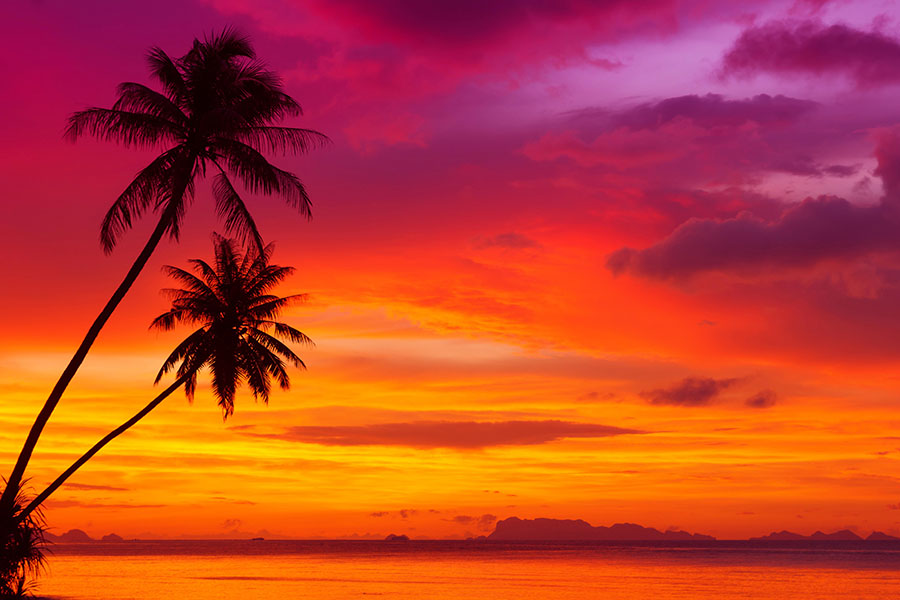 Fotomural Atardecer con palmeras