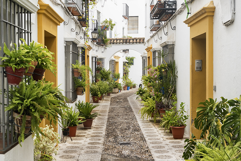 Fotomural Calle de Córdoba