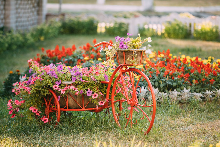 Fotomural Bicicleta con flores