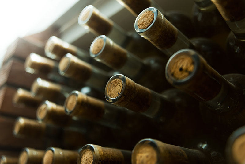 Fotomural Botellas de vino
