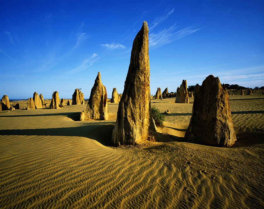 Fotomural Pináculos Nambung 
