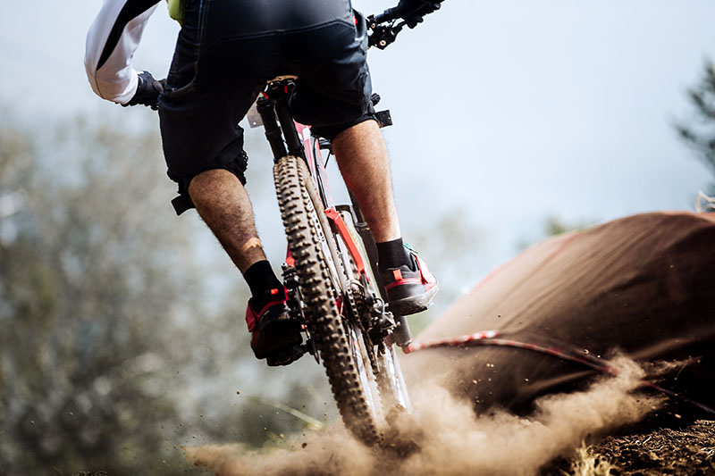 Fotomural Mountain Bike 2