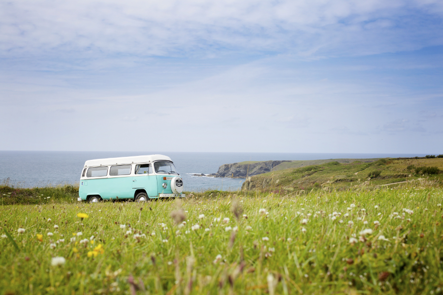 Fotomural Kombi con Flores